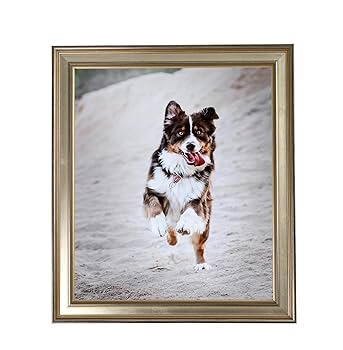 Amazon.co.jp: ArtToFrames 22x31インチ シルバー写真フレーム